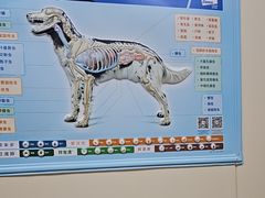 -美联众合爱康动物医院•复杂内科•肿瘤科•牙科•腔镜诊疗中心
