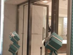 -Tiffany & Co.蒂芙尼
(天津万象城店)