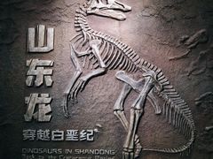 -山东博物馆