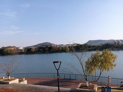 -羊山湖公园