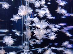 -太平洋海底世界博览馆·展览厅