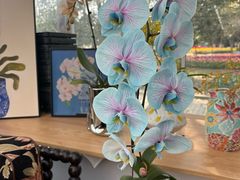 -上海鲜花港