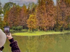 -桤木河湿地公园