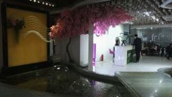 -Sunny喜铺婚礼策划(东部店)