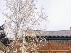 -长春观