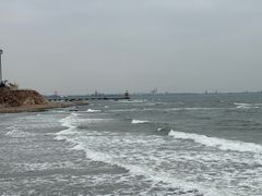 -叶存利海鲜大馅饺子(海宁路总店)