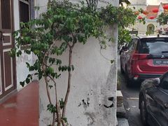 -槟城街头艺术街区