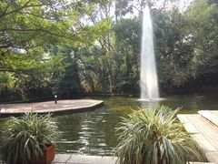 -九龙公园