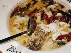 -宋小谨(惠安禹洲店)