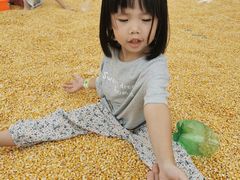 -麻涌飞鸭开心农场