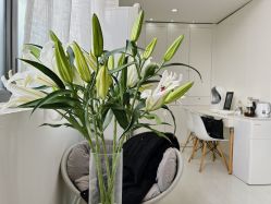 -安那般那皮肤年轻化ANAPANA