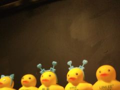 -解个谜沉浸剧情密室(天河店)