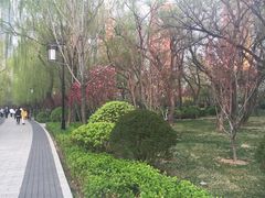 -迎泽公园