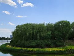 -大兴滨河森林公园