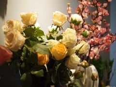 -Flower in(密渡桥店)