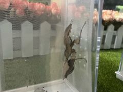 -上海昆虫博物馆