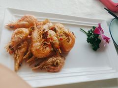 -云中小雅