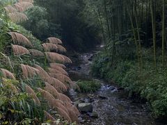-夏霖九天银瀑风景区