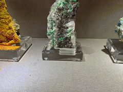 -陕西自然博物馆