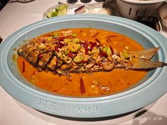 -阿五黄河大鲤鱼(英协路店)