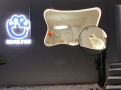 -More Fun猫咖 二十只万元加菲主题