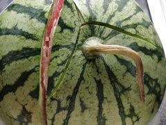 -鲜果壹号(苏站路店)