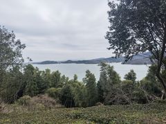 -天目湖涵田度假村