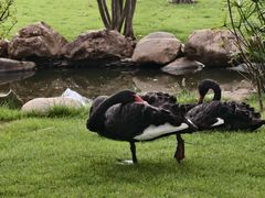 -惠州金海湾嘉华度假酒店