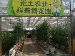 -迪茵湖田家舍生态农场