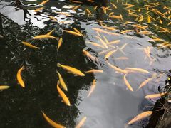 -丽江玉水寨