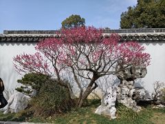 -无锡梅园公园