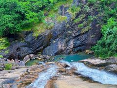 -广州白江湖森林公园