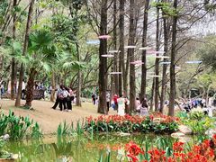 -人民公园(罗湖区)