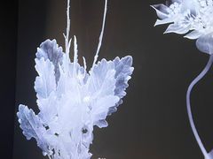 -时代美术馆-成都馆