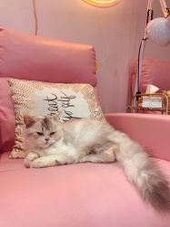 -Beauty Nails 美甲美睫皮肤管理
