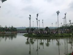 -枫香湖儿童公园