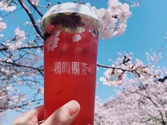 -鸡鸣赐茶(鸡鸣寺路店)