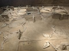 -洛阳周王城天子驾六博物馆