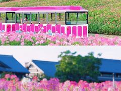 -灵山胜境