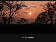 -盘龙城国家考古遗址公园