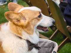 -南京东郊国宾馆