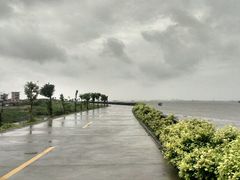 android_upload_pic-海鸥岛