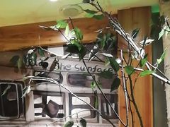 -河坝烧烤串城(金达莱店)