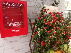 -花邻FloweringLife花艺气球派对(武康大楼店)
