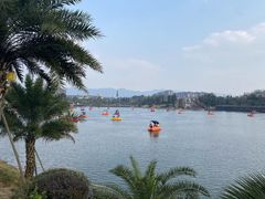 -枫香湖儿童公园