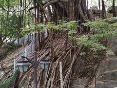 -乌山风景区