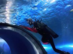 -太平洋海底世界