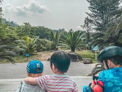 -华南国家植物园-售票处