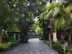 -海南清水湾莱佛士酒店