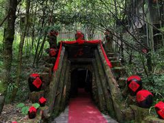 -神农架景区